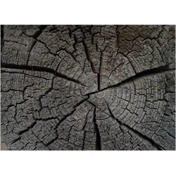 CoverYourDesk, Unterlage, Schreibtischunterlage Baumstumpf Holztextur