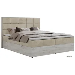 BOXBETT ALNOR 200/200 Beige Velvet - Topper T25 - H4
