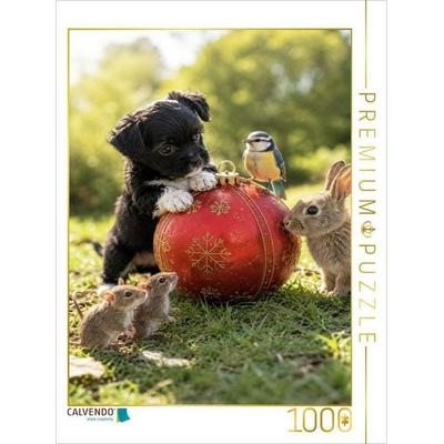 CALVENDO Puzzle Die Kugel voller Wunder | 1000 Teile Lege-Größe 64x48cm Foto-Puzzle für glückliche Stunden