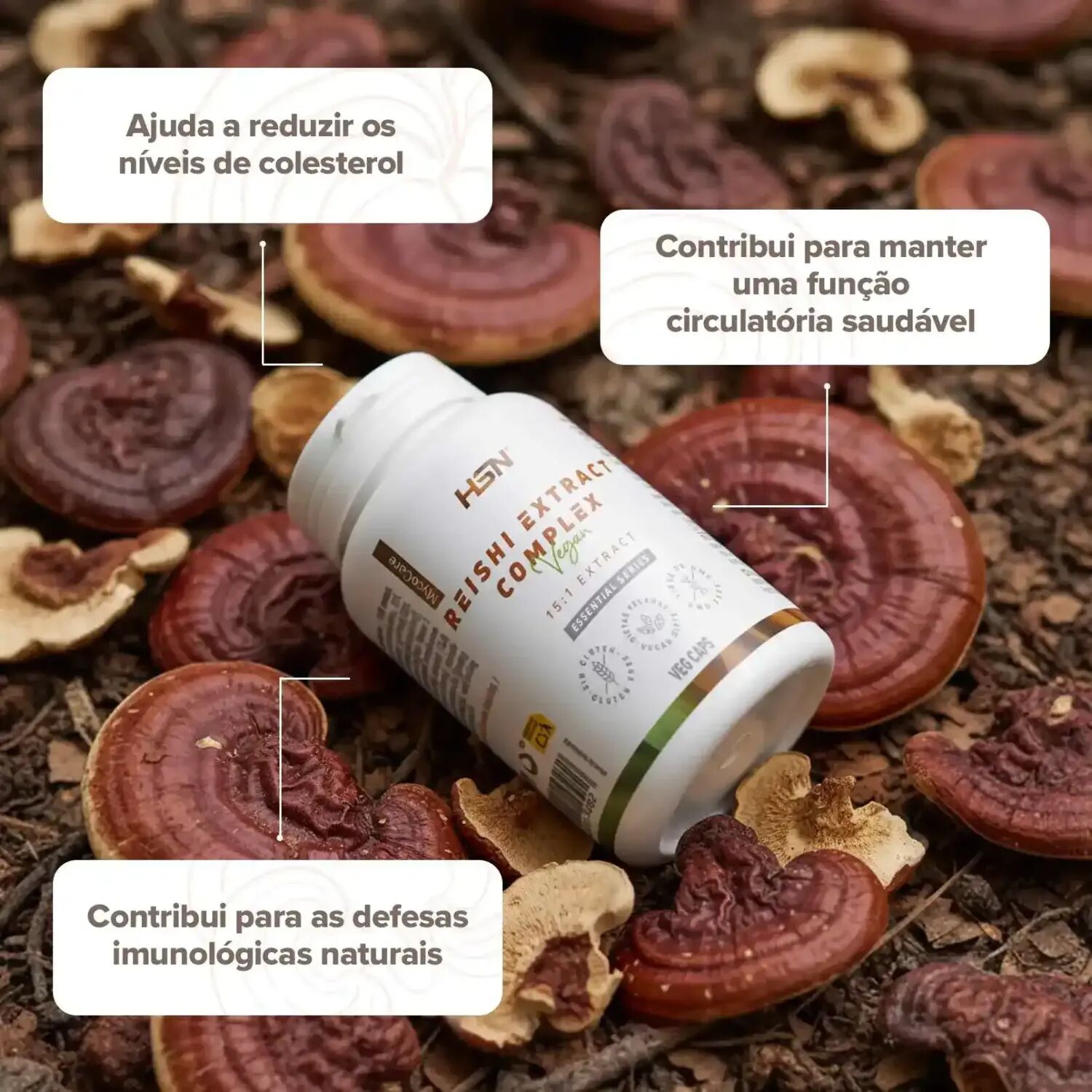HSN Extracto de reishi complex (15:1) 500mg -120 veg caps - Sistema imunitário - Cápsulas Vegetales - 120 Serviços