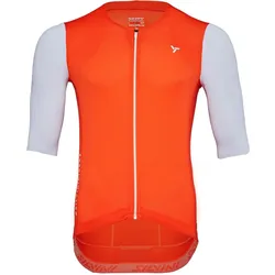Silvini, Herren, Velotrikot, Auronzo (M), Mehrfarbig, M