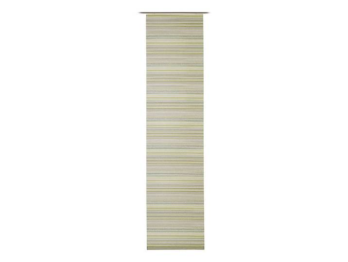 Schiebevorhang Russel 60 x 0 x 245cm Grün/Grün