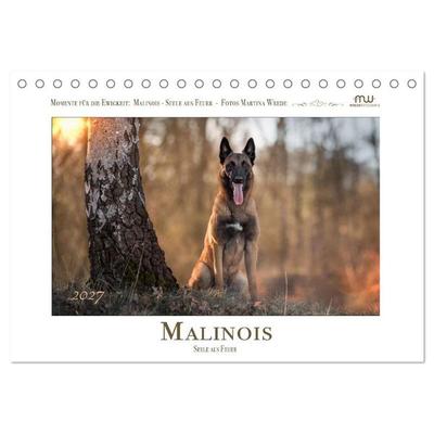 Malinois - Seelen aus Feuer (Tischkalender 2027 DIN A5 quer), CALVENDO Monatskalender