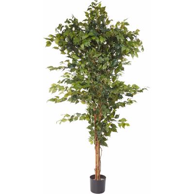 Kunstpflanze OTTO HOME "Ficus Benjamini", grün, B:23cm H:150cm, Kunststoff, Polyester, Kunstpflanzen, Kunstpflanze