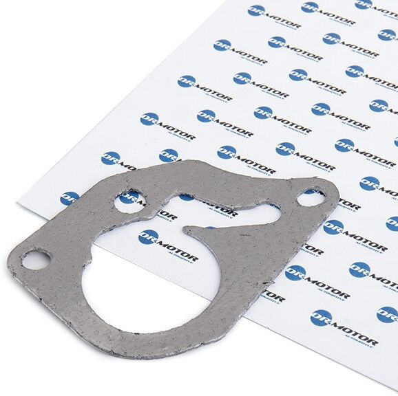DR.MOTOR AUTOMOTIVE DRM0289 Gasket, vacuum pump