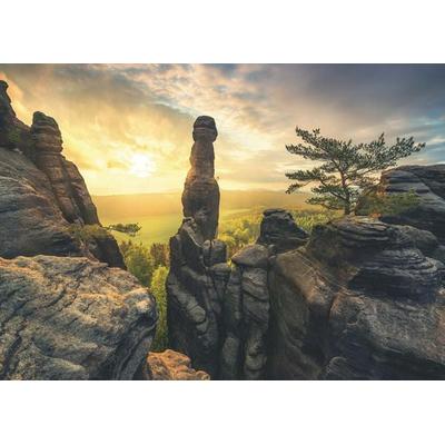 Erwachsenenpuzzle 1000 Teile - Erleuchtung - Elbsandsteingebirge