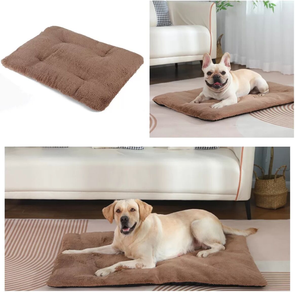 INF Selbstheizende Haustiermatte: Warmes & komfortables Bett für Hunde & Katzen M Khaki