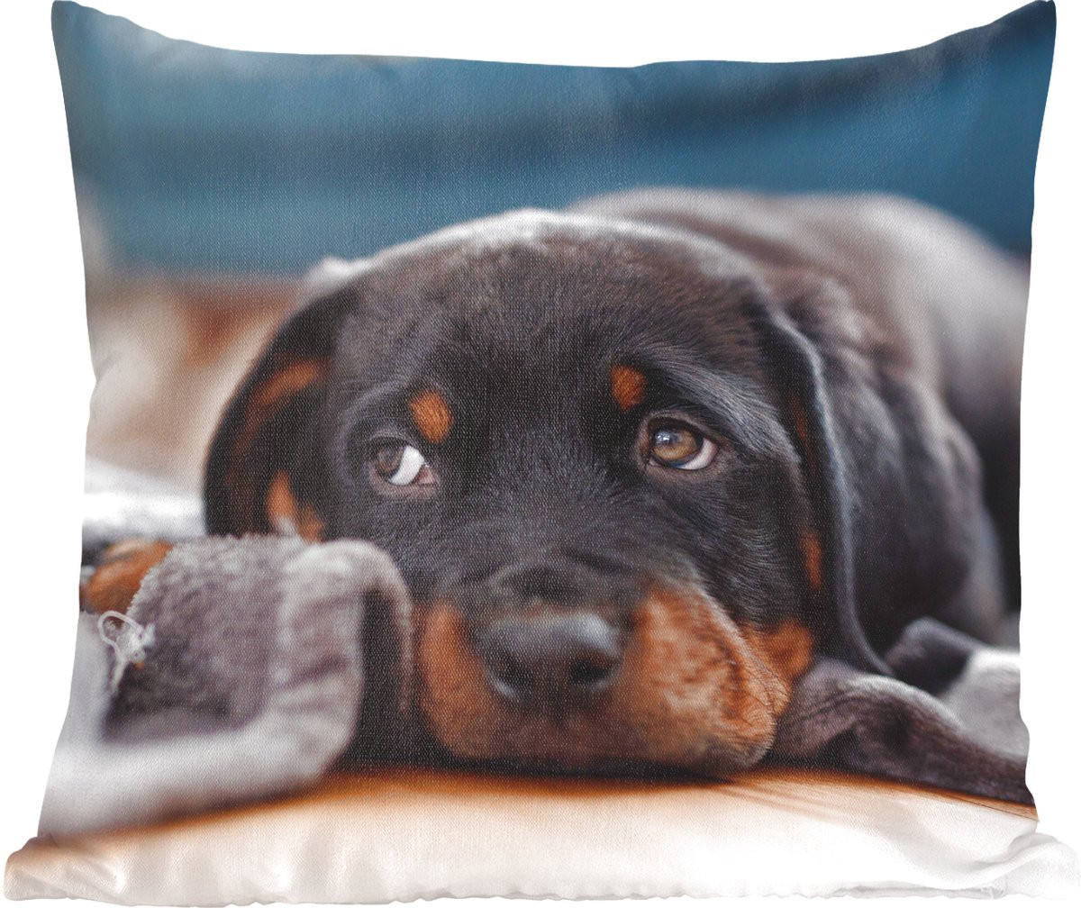 Sierkussen met Rottweiler pup print - 40 x 40 cm