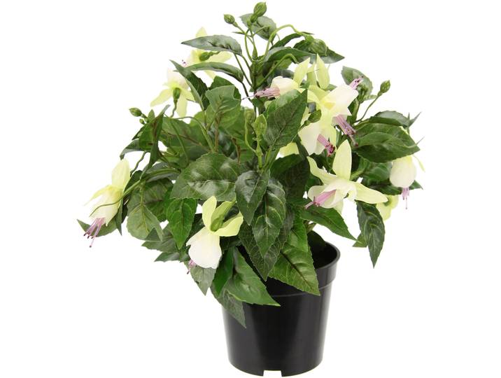 Kunstblume I.GE.A. Fuchsien , rosa (weiß,rosa), H:30cm Ø:22cm, Obermaterial: 80% Polyester, 20% Kunststoff, Kunstpflanzen, Kunstblume, Im Topf Zimmerpflanze Deko Doppelblütenblätter Topfpflanze Hybrid Hort
