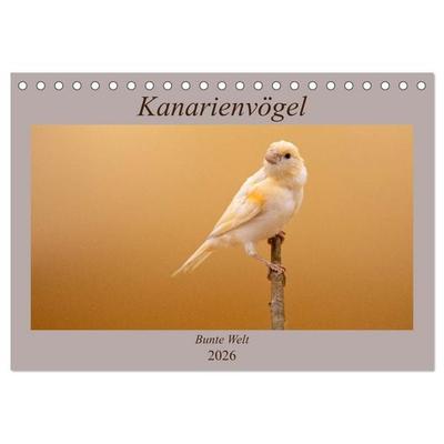 Kanarienvögel - Bunte Welt (Tischkalender 2026 DIN A5 quer), CALVENDO Monatskalender