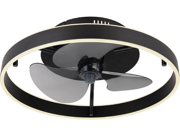 Deckventilator mit Beleuchtung CONWAY variable Intensität 50cm 40W schwarz
