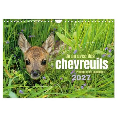 Un an avec des chevreuils (Calendrier mural 2027 DIN A4 vertical), CALVENDO calendrier mensuel