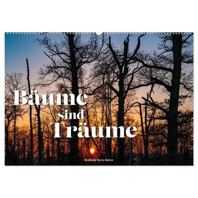 Bäume sind Träume (Wandkalender 2027 DIN A2 quer), CALVENDO Monatskalender