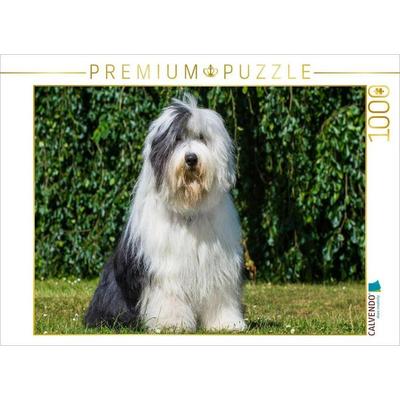 CALVENDO Puzzle Sitzender Bobtail | 1000 Teile Lege-Größe 64x48cm Foto-Puzzle für glückliche Stunden
