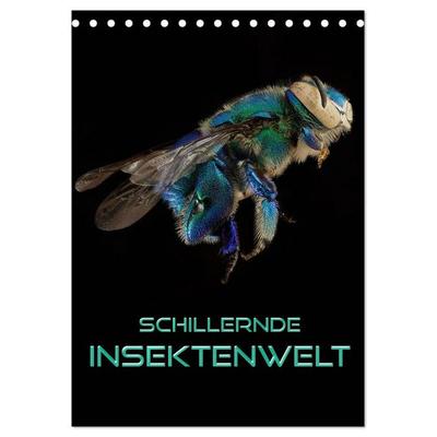 Schillernde Insektenwelt (Tischkalender 2026 DIN A5 hoch), CALVENDO Monatskalender