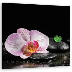 WANDBILD blumen orchidee zen spa