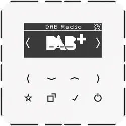 Jung Smart DAB+ Digitalradio DAB CD WW