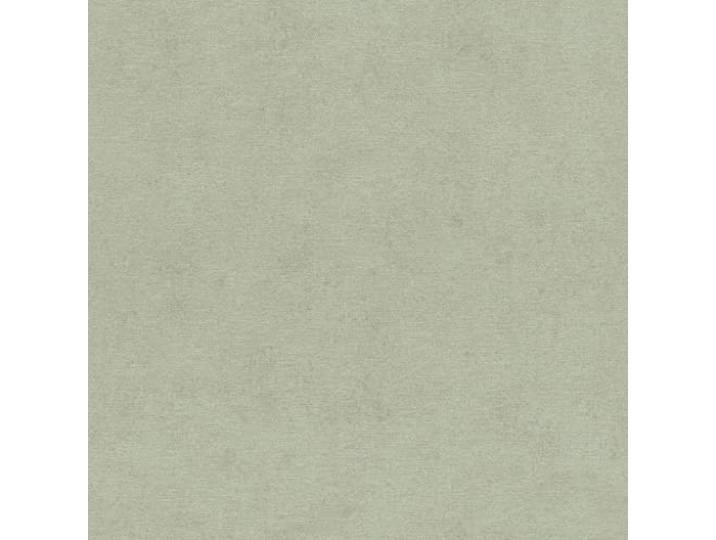 Rasch Tapeten Vliestapete (universell) Grün 10,05 m x 0,53 m Kimono 408171