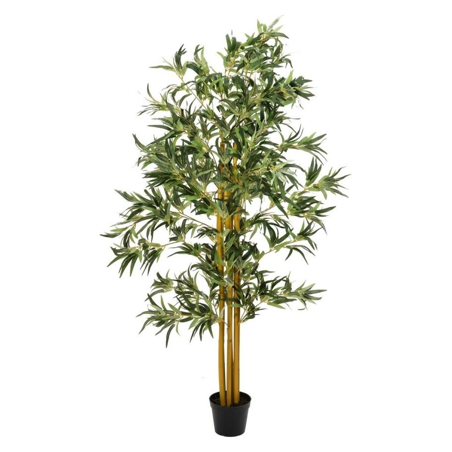 Europalms Bambus (180 cm) (82509236)