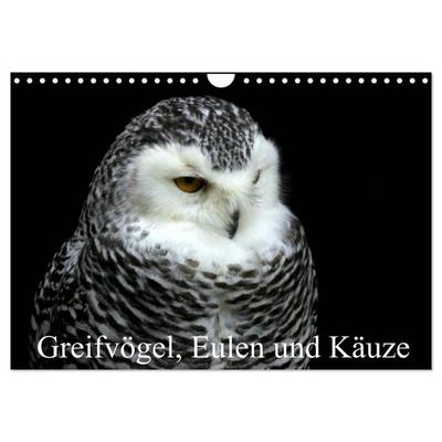 Greifvögel, Eulen und Käuze (Wandkalender 2026 DIN A4 quer), CALVENDO Monatskalender