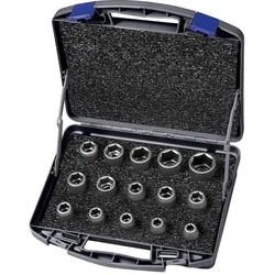 ASW Kraft Steckschlüsseleinsatz Set 1/4" 15-teilig