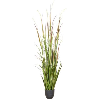 Kunstgras CREATIV GREEN "Grasbusch Cortaderia jubata", grün, H:150cm, Obermaterial: 100% Kunststoff, Kunstpflanzen, in toller Größe