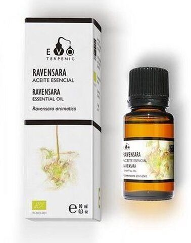 Terpenic Lab Ravensara Essential Oil 10 ml