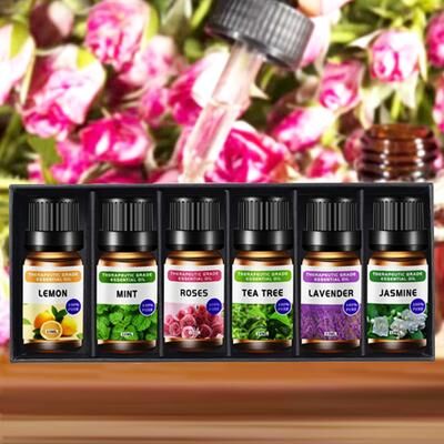 Discount Dollar Deals 6 Essential Oils Set, Lavender Rose Plant, Air Purification Supplies, Breathe Cleaner Air, And Feel Refreshed 6 Essential Oils Set, Lavender Rose Plant, Air Purification Supplies, Breathe Cleaner Air, And Feel Refreshed
