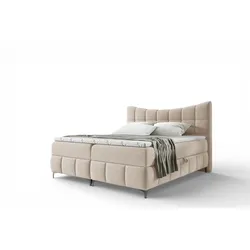 BOXBETT Charles In Freya