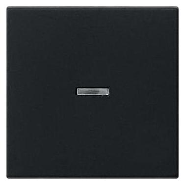 Gira Wippe m. Kontrollf. 0290005 System 55 SWm (290005)