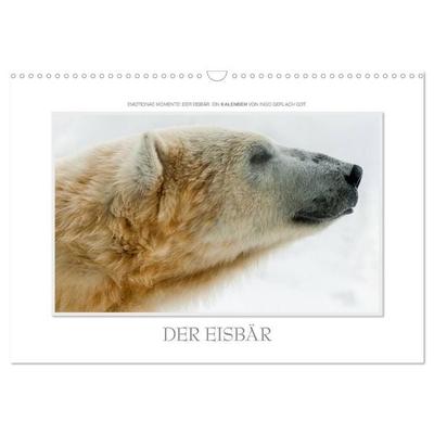 Emotionale Momente: Der Eisbär. (Wandkalender 2027 DIN A3 quer), CALVENDO Monatskalender