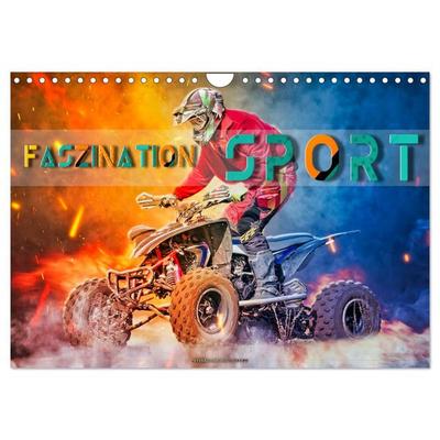 Faszination Sport (Wandkalender 2026 DIN A4 quer), CALVENDO Monatskalender