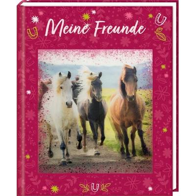 Freundebuch – Meine Freunde, Sonstige von , Coppenrath