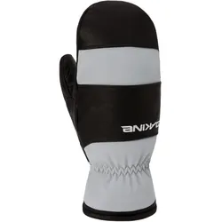 Dakine Baron Gore-Tex Skifäustlinge Herren 037 - griffin S
