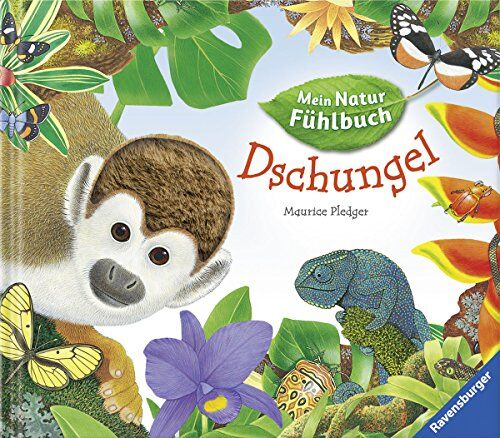 Angelika Lenz - Mein Natur-Fühlbuch: Dschungel - Preis vom 09.10.2026 07:28:09 h
