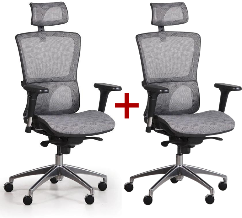 B2B Partner Bürostuhl mit Netzrückenlehne LEXI 1+1 GRATIS, grau