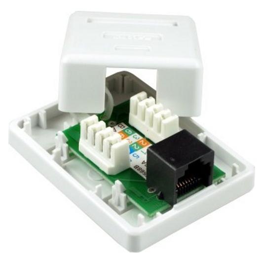 XtendLan / Zásuvka 1x RJ-45 / Cat5e / nestíněná / narážecí / na zeď, spodní vývod (ZASO1I5XNNKNR)
