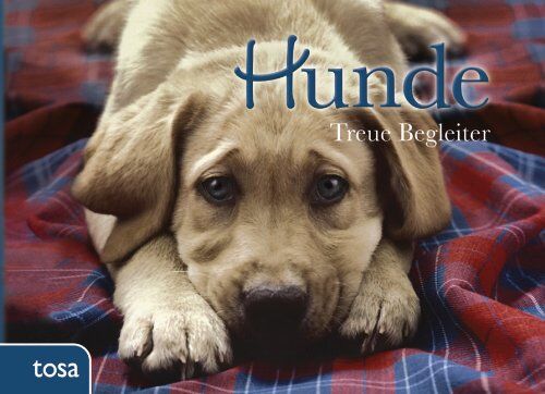 Hunde: Treue Begleiter - Preis vom 09.10.2026 07:28:09 h