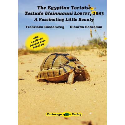The Egyptian Tortoise, Testudo kleinmanni Lortet, 1883, Taschenbuch von Franziska Biedenweg,Ricarda Schramm, Kleintierverlag, 978-3-00-062343-1