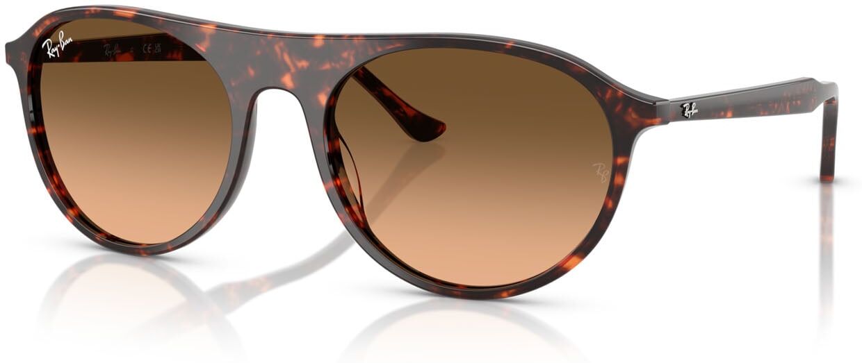 Ray-Ban RB 2215 (14293B) Damen