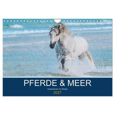 PFERDE & MEER (Wandkalender 2027 DIN A4 quer), CALVENDO Monatskalender