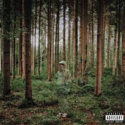 I Love You,I m Trying - Grandson, Vinyl