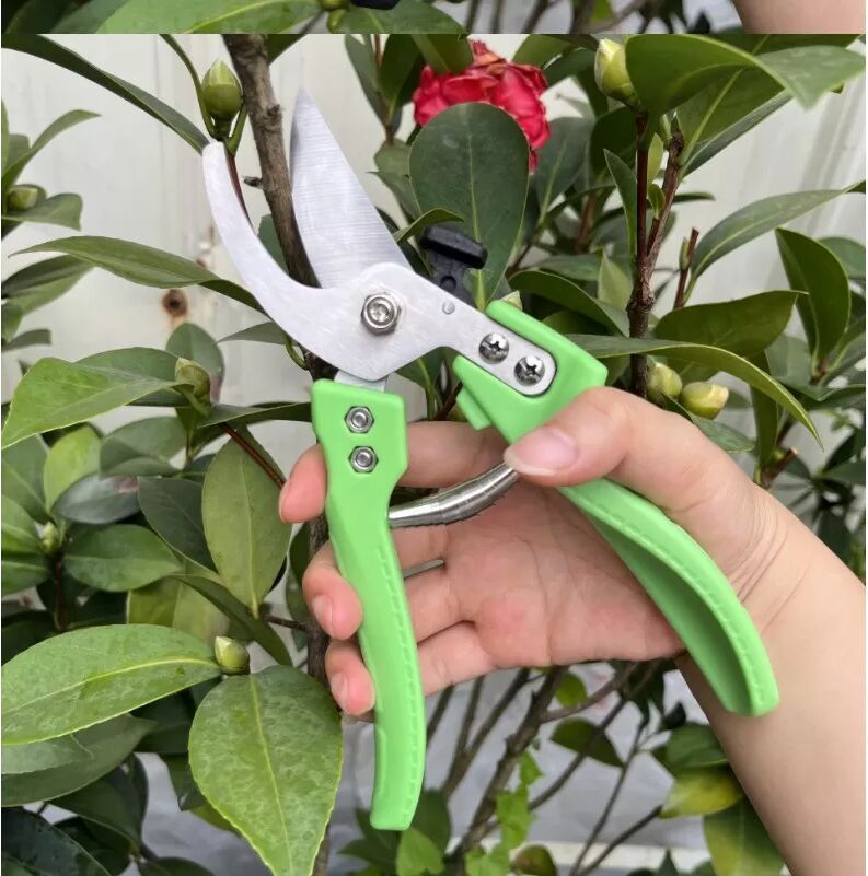 INF Sécateur à lame franche - Ciseaux de jardin en acier inoxydable pour tailler les branches, les fruits et les fleurs Vert