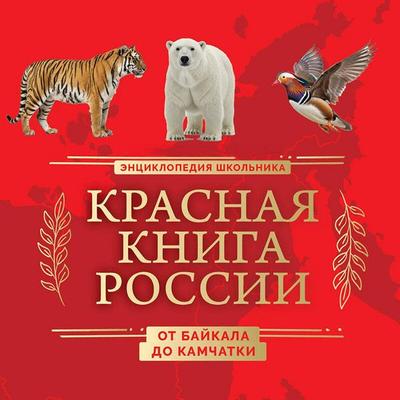 Krasnaya kniga Rossii. Ot Baykala do Kamchatki - Yuliya Dobrynya, Audio, 9785042383250