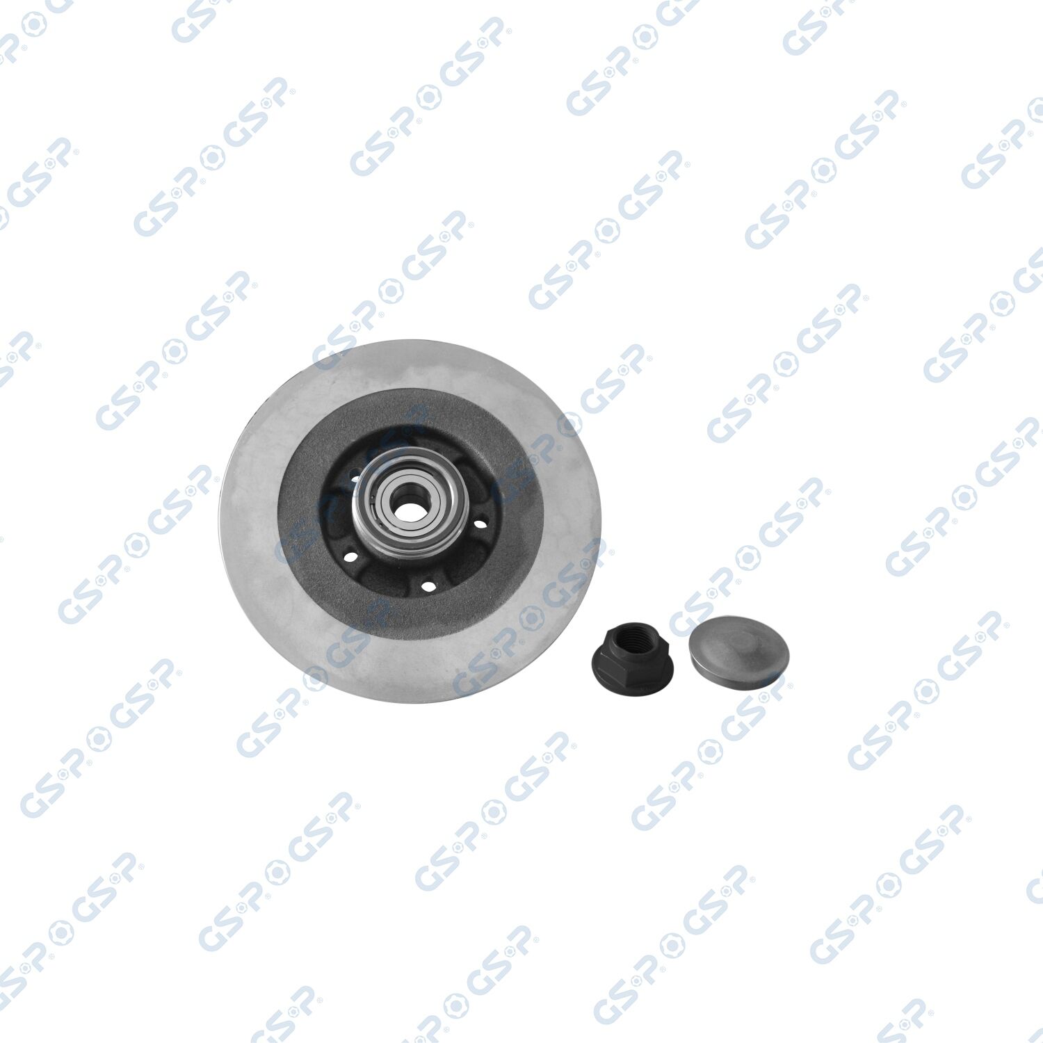 Gsp Bremsscheibe 9230143k Voll 300mm 0mm Für Renault