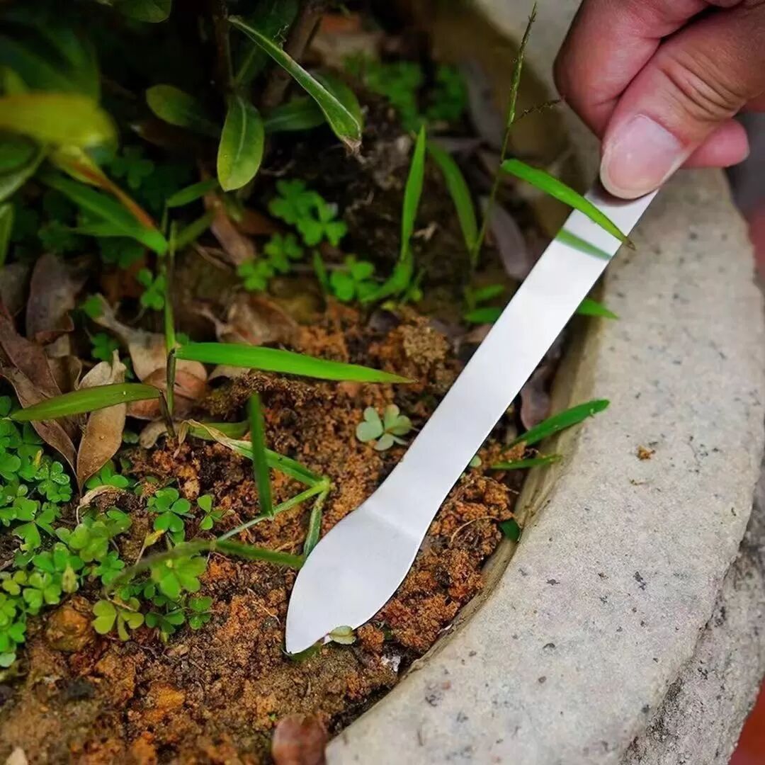 INF 5-teiliges Bonsai-Rechen-Set aus Edelstahl – Doppelkopf-Werkzeug zum Lockern und Verdichten von Erde