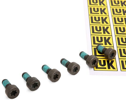LuK 411 0166 10 Screw Set, flywheel