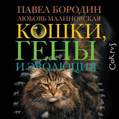Koshki, geny i evolyutsiya - Pavel Borodin,Lyubov Malinovskaya, Audio, 9785171915193