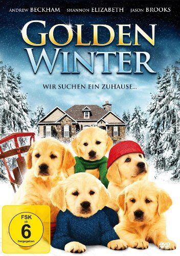 Sam Mendoti - GOLDEN WINTER - Wir suchen ein Zuhause (DVD) - Preis vom 12.10.2026 11:37:12 h