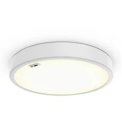 Philips Lighting 3D-LED-Leuchte TCBRMS 19S #86430600
